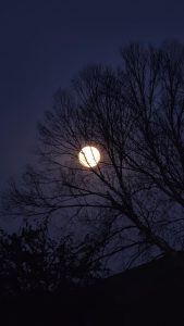 Now that fall has officially begun and it gets darker earlier, sophomore Adelaide Brosh captures a photo of the full moon on Sept. 28. "I like Halloween because I like scary stuff. I'm not easy to scare so I enjoy spooky things. I took the moon picture during a walk the other day. I hadn't realized it got so dark till I saw the moon" Brosh said.