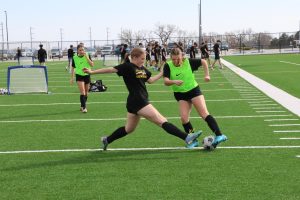 Playing in a scrimmage at practice, senior Hallie Quinlin attempts to steal the ball from sophomore Nyla Bos.